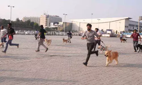 From pet resort to pet spa, Hyderabad becoming a booming market for PetPreneurs