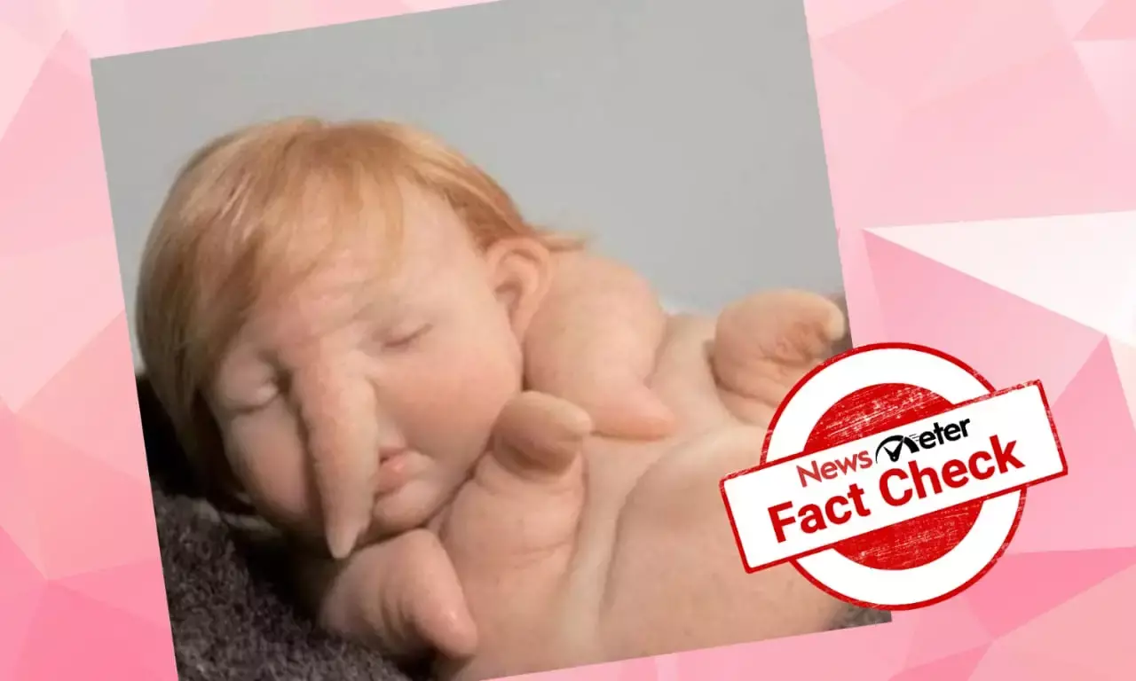 Is this half-human/half-elephant baby a reincarnation of Lord Ganesha?