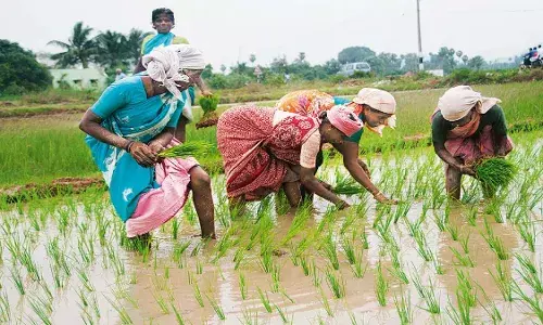 `Most anti-farmer budget in historyā: SKM lambasts Centre for neglecting kisans