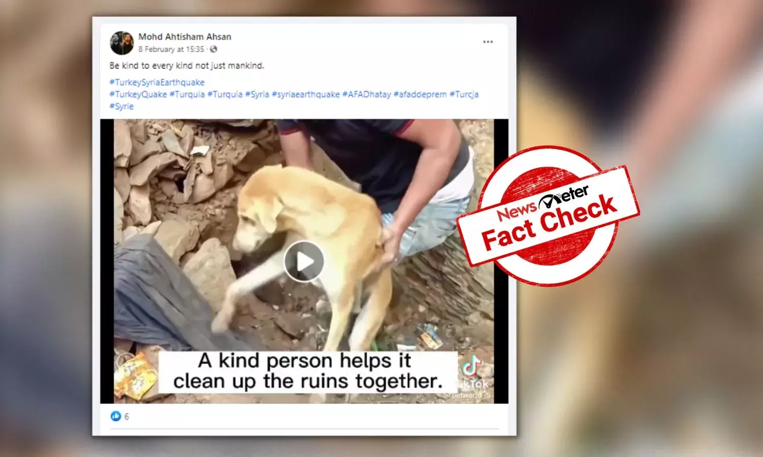 Old video of puppies being rescued falsely linked to Turkey earthquake
