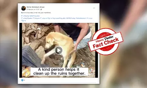 Old video of puppies being rescued falsely linked to Turkey earthquake