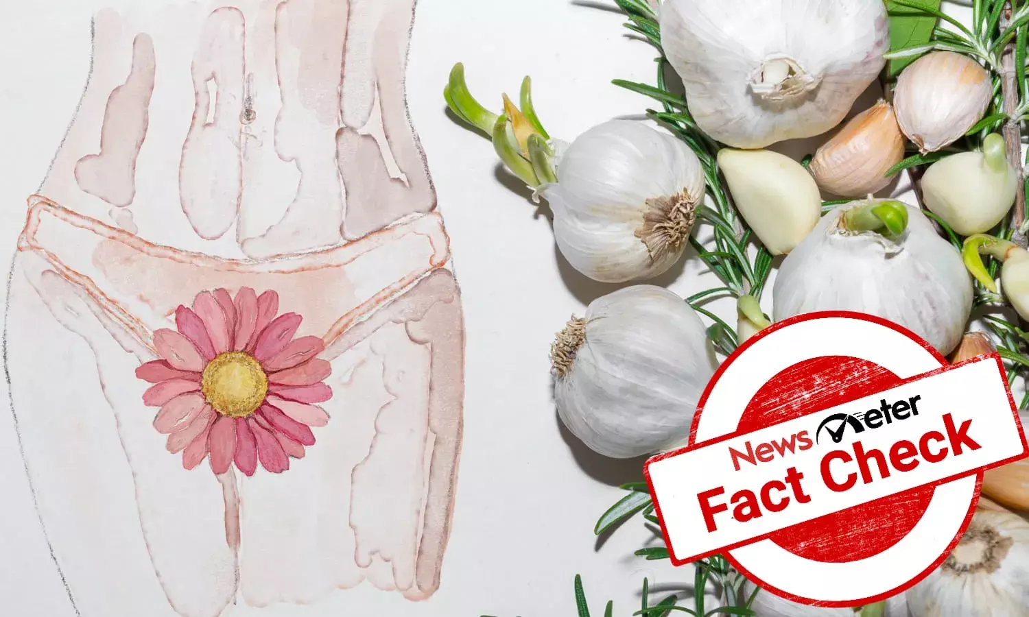 Does garlic act as an anti-bacterial ointment to treat vaginal odour?