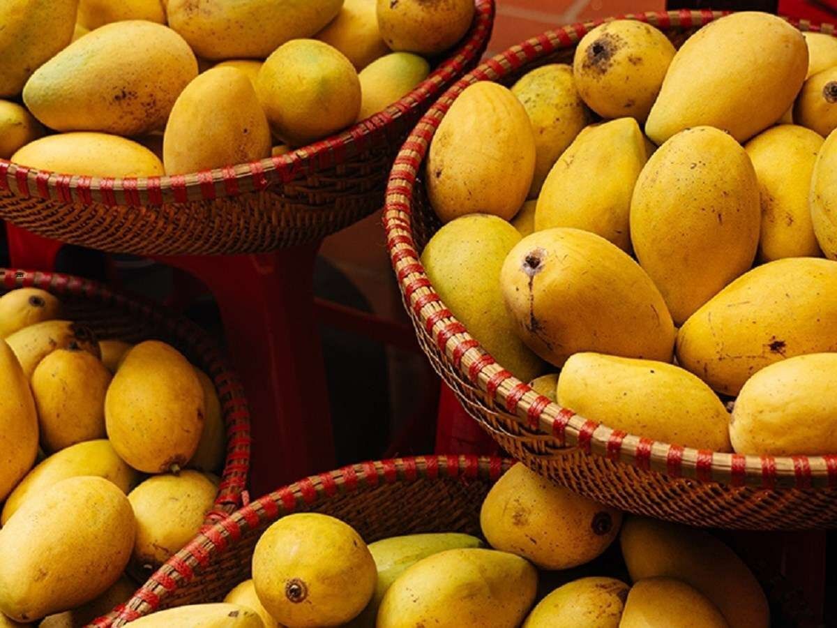 Andhra Pradesh After two years, mango yield likely to soar this season