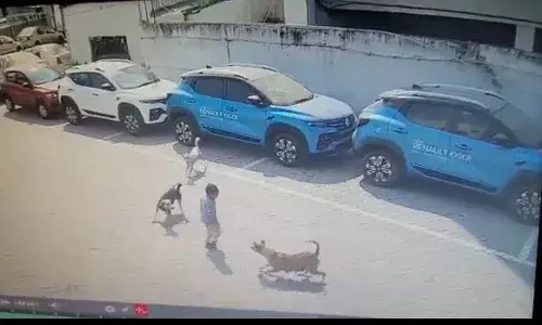 4-year-old died after attack by street dogs in Hyderabad