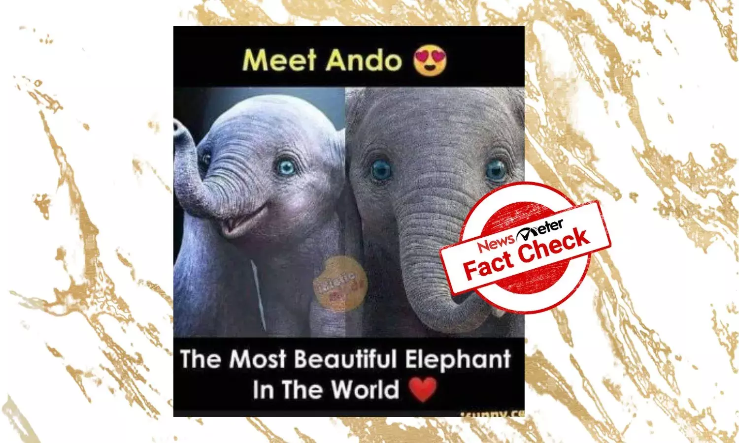 Image of character from animated movie Dumbo shared as real baby elephant