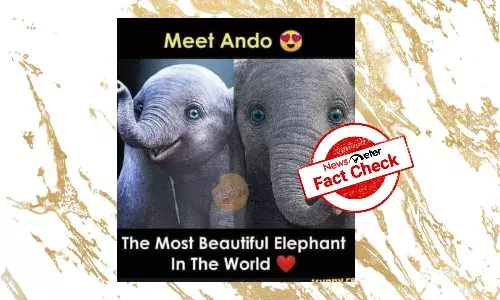 Image of character from animated movie Dumbo shared as real baby elephant