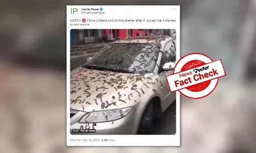 NewsMeter verified that the video shows black poplar flowers splattered on cars, not worms.