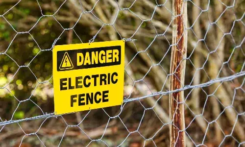 Man dies from electric shock during morning walk in Padmarao Nagar Park