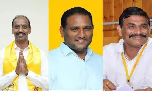 tdp graduate mlc