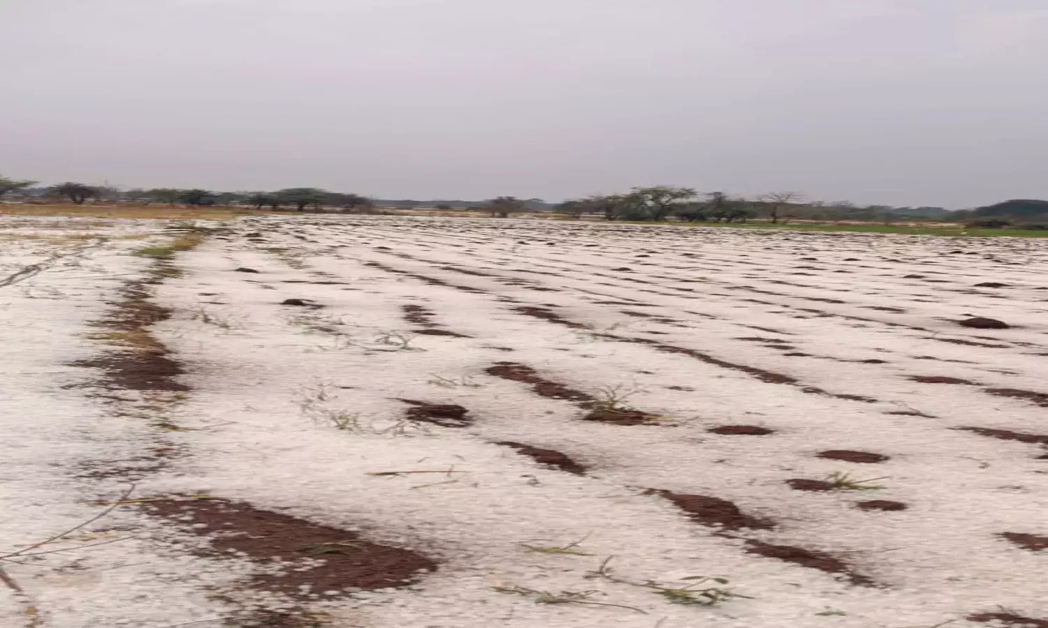 Hailstorm in Vikarabad region