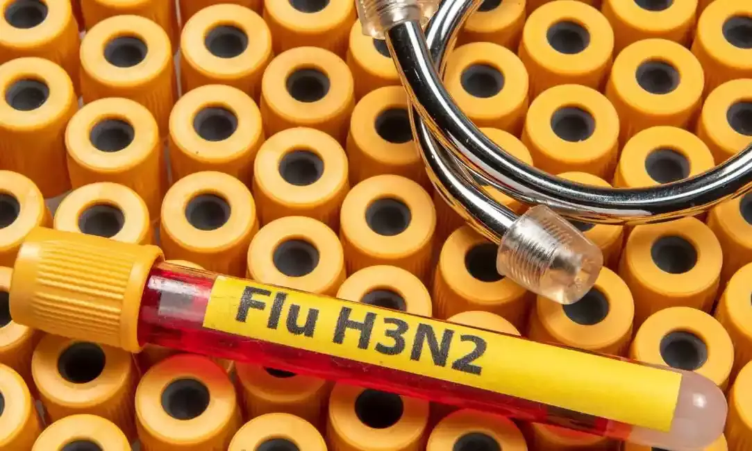 H3N2 influenza