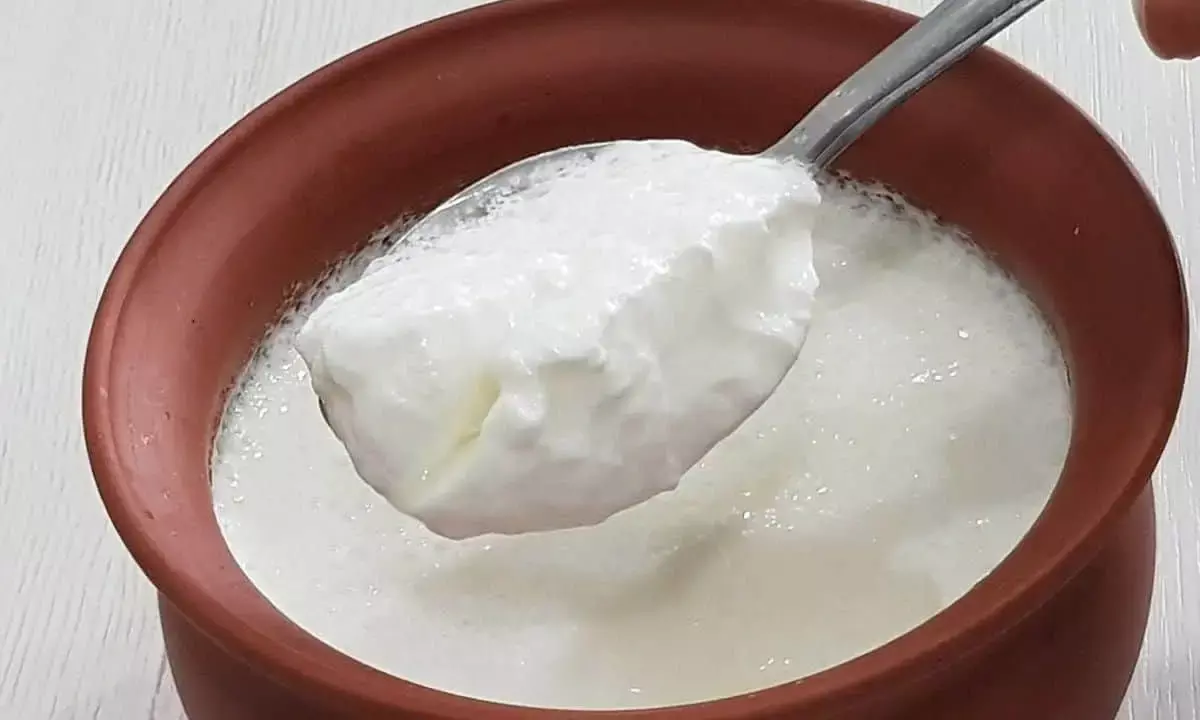 Dahi, Curd leads to political row