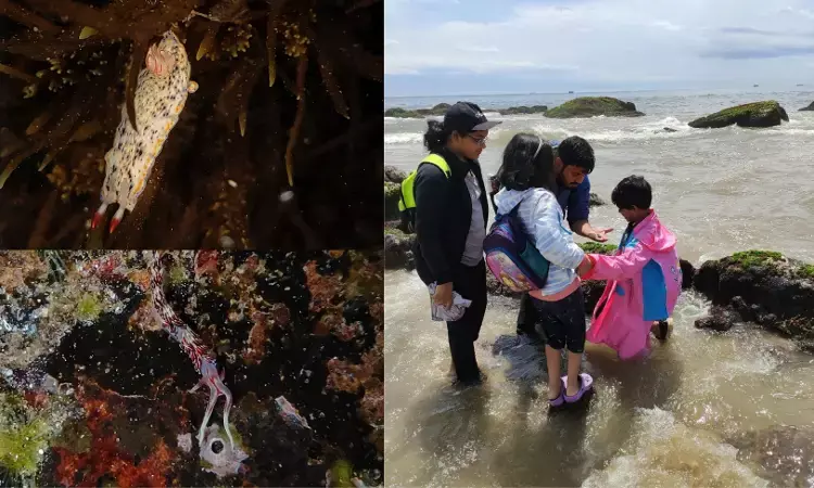 Intertidal Walks in Visakhapatnam beach
