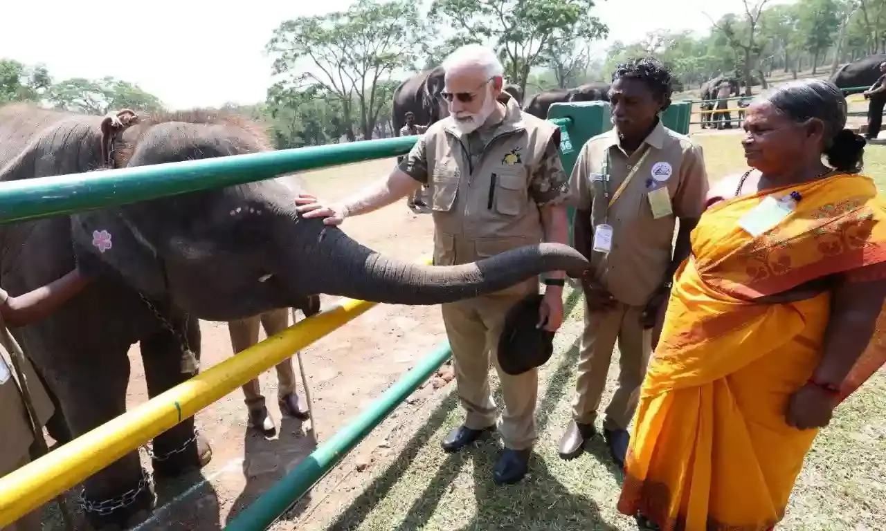 PM Modi interacts with The Elephant Whisperers couple