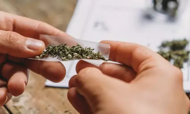 3 ganja peddlers from Odisha held in Hyderabad, 120 kg ganja seized