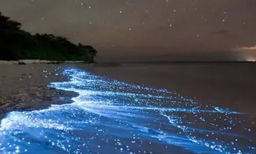 Bioluminescence phenomena in Bheemili beach, Visakhapatnam.