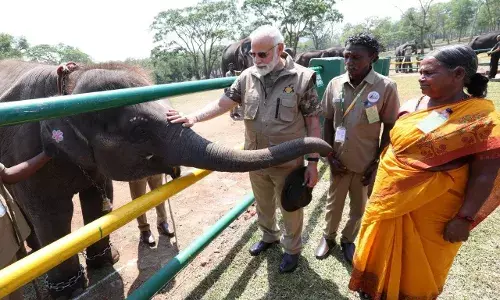 PM Modi interacts with The Elephant Whisperers couple
