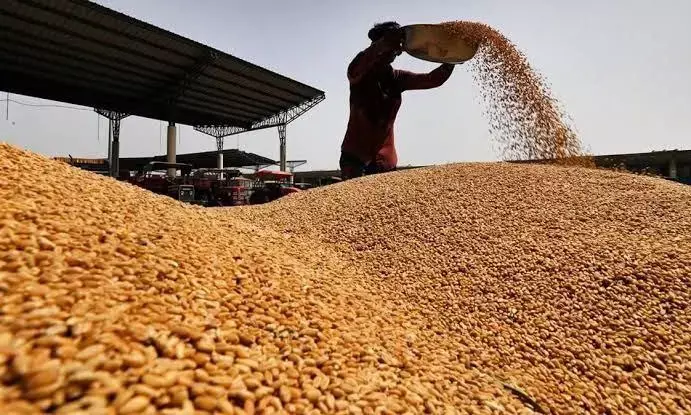 Grain purchase to open in Telangana