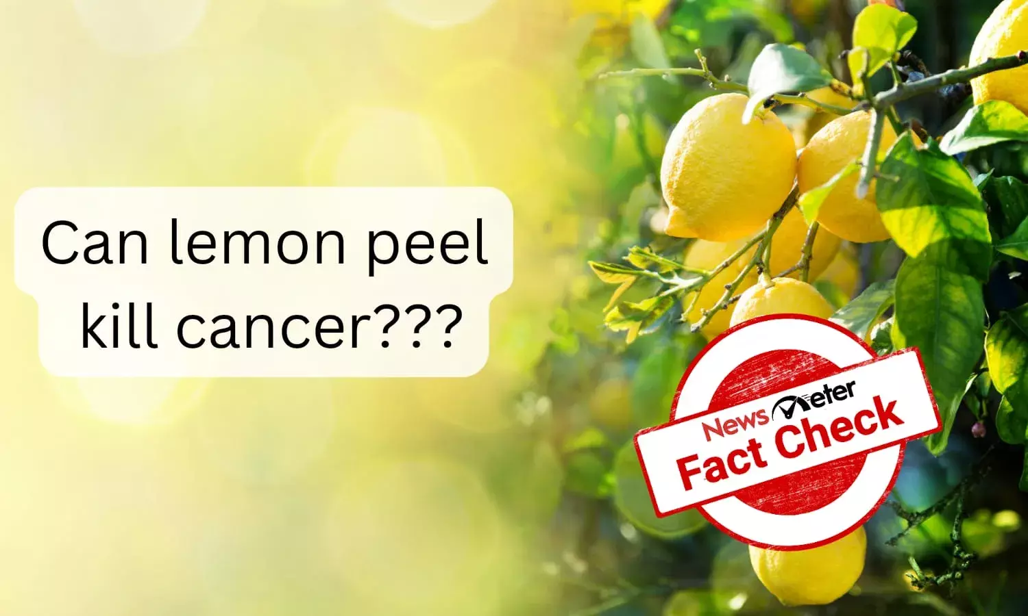 Can lemon peel kill cancer cells? The answer is NO