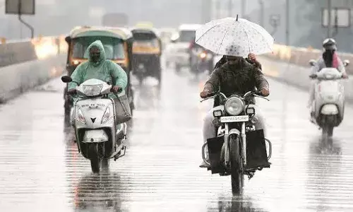 El Nino conditions to develop during the monsoon season: IMD