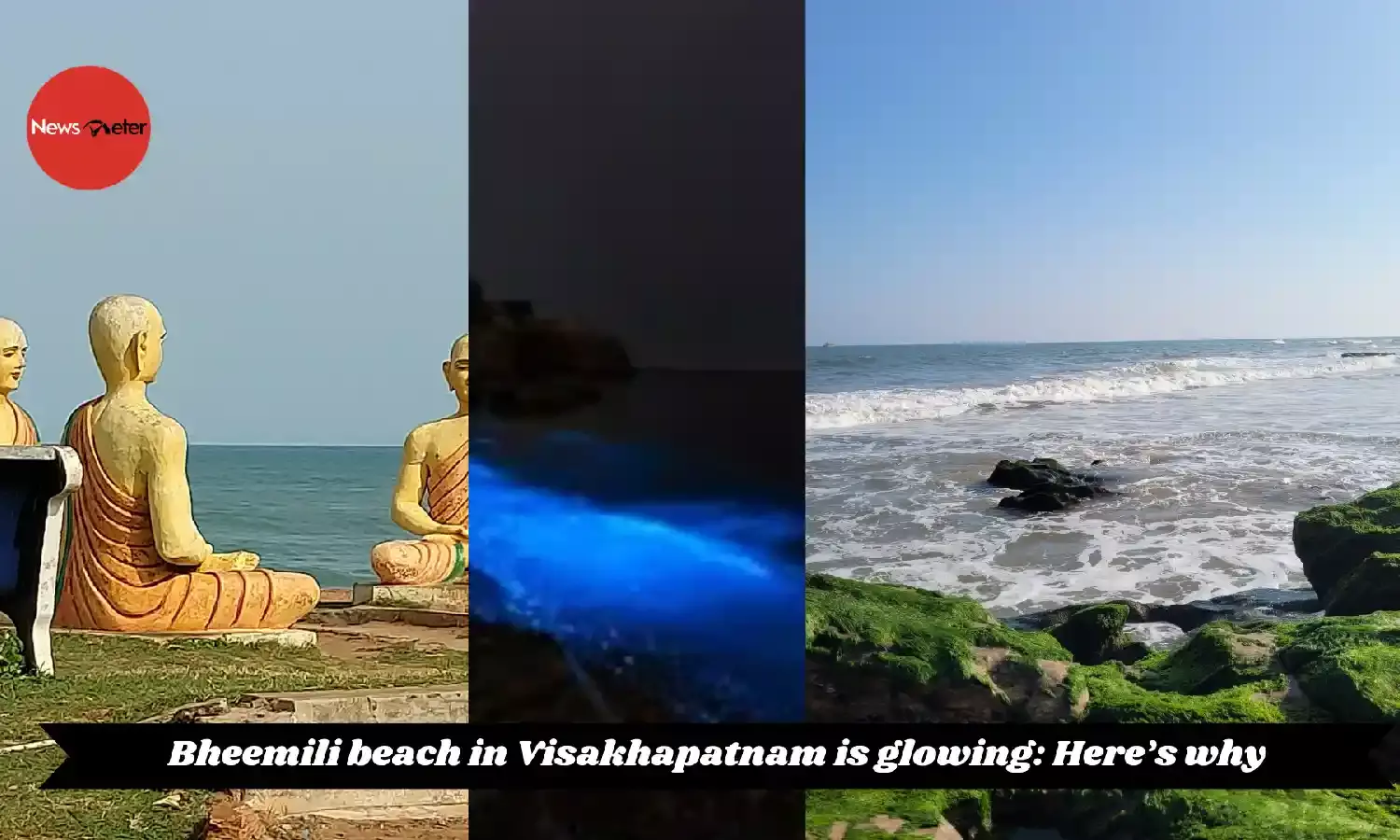Bheemili beach in Visakhapatnam is glowing: Hereās why