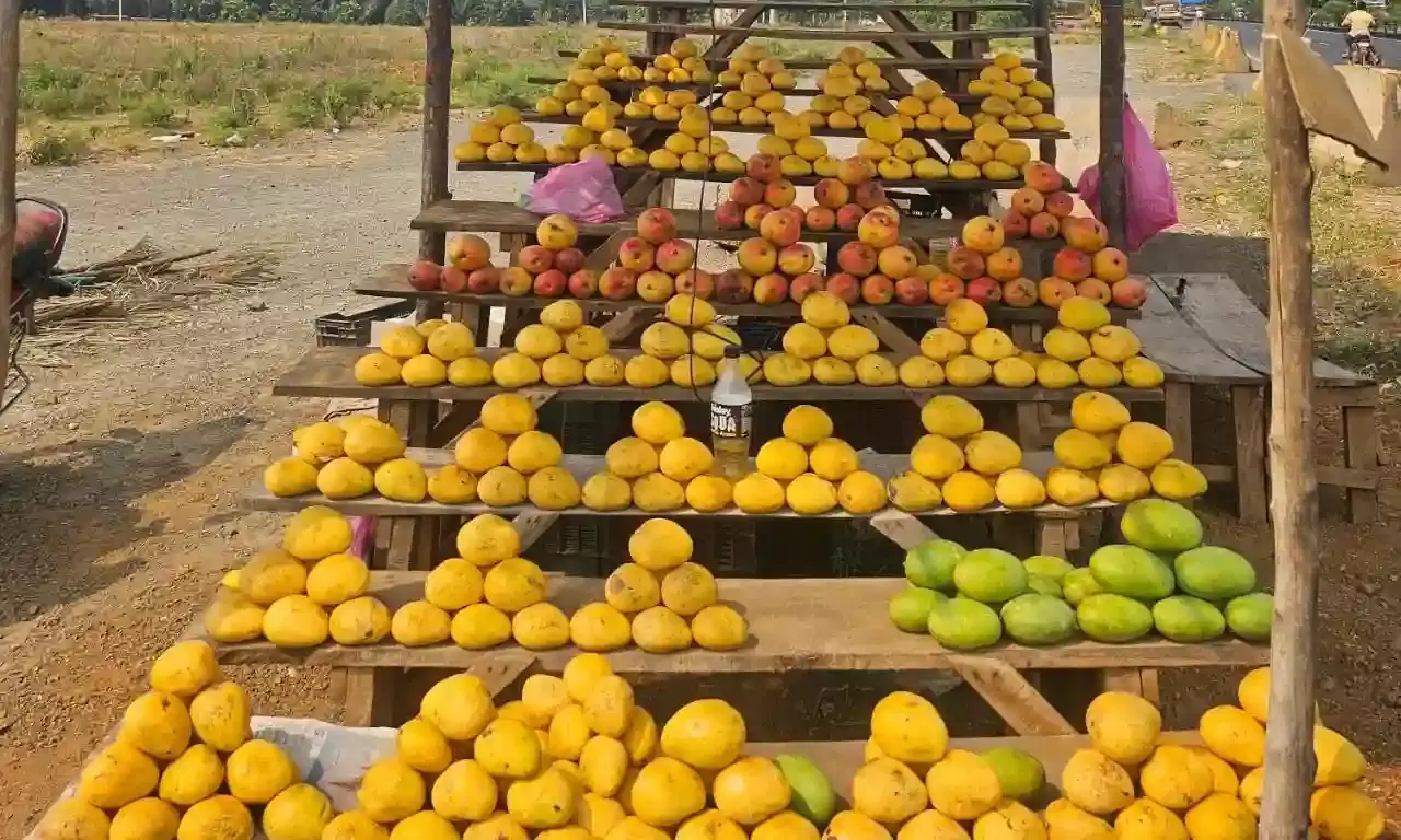 Representational Image