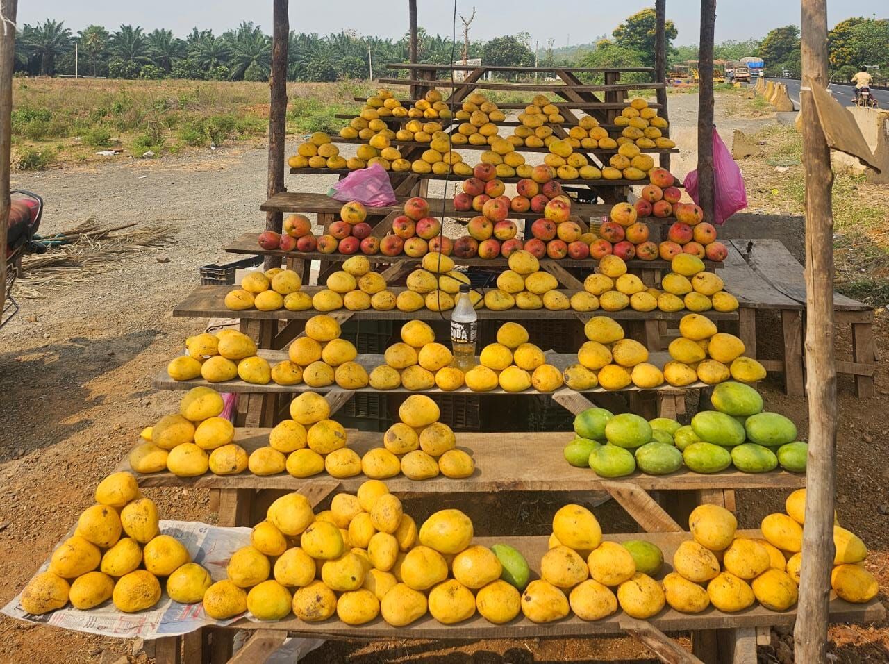 Nutritious but high in sugar & calories Eat mangoes wisely this season