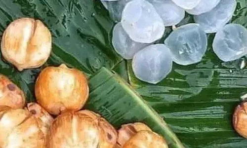 Ice Apples