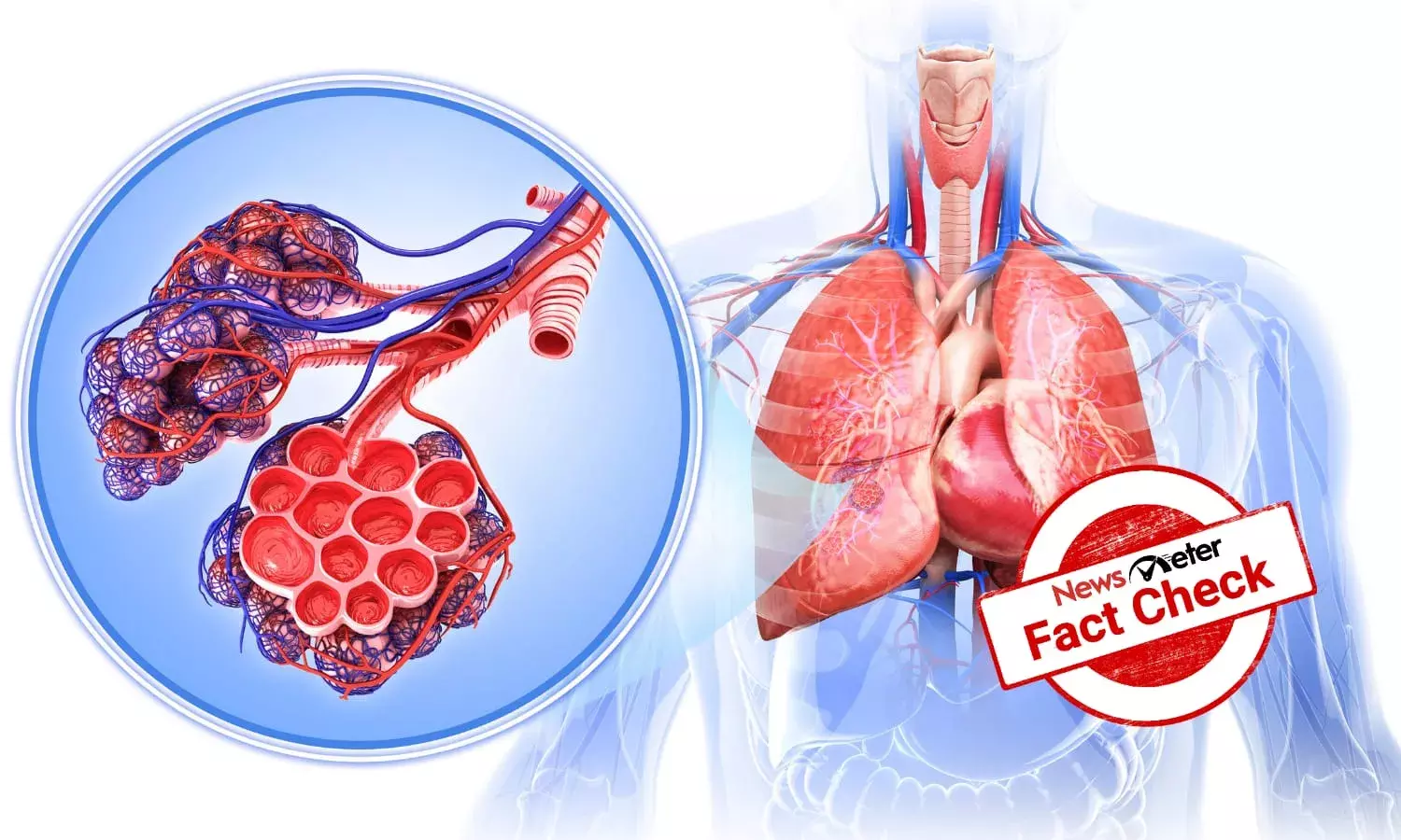 Can a blend of apple vinegar, lemon, ginger & garlic juice unclog your arteries?