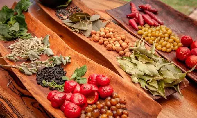 Study on indigenous foods to address malnutrition in vulnerable tribal communities