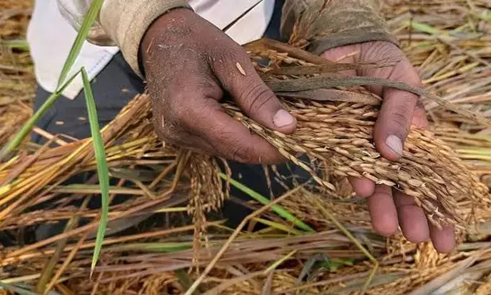 Representational Image