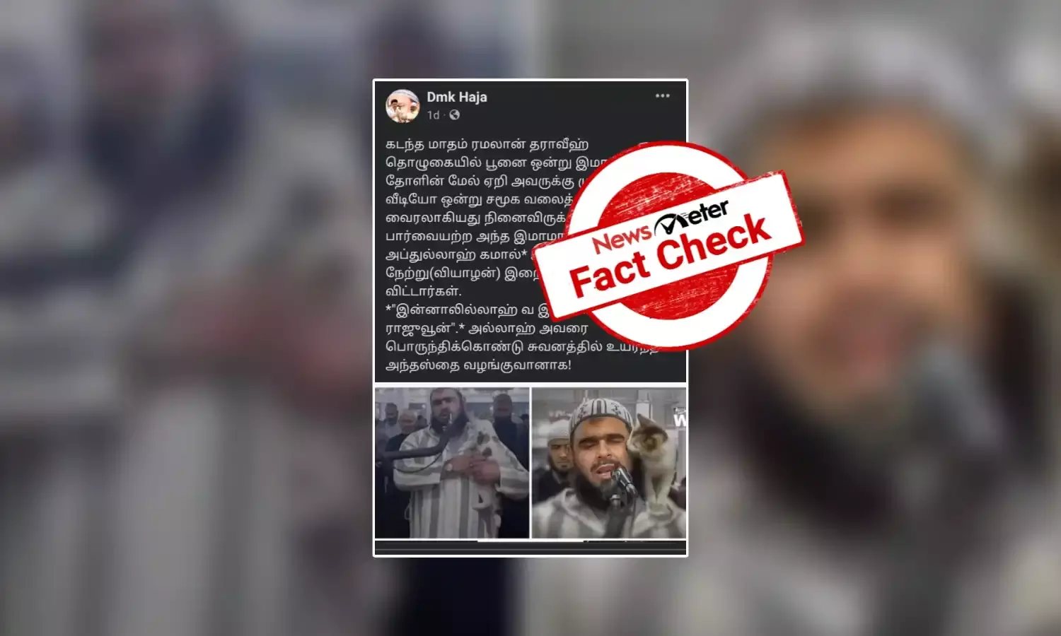 தொழுகையின் போது தோளில் ஏறிய பூனையின் மூலம வைரலான மசூதி இமாம் உயிரிழந்தாரா