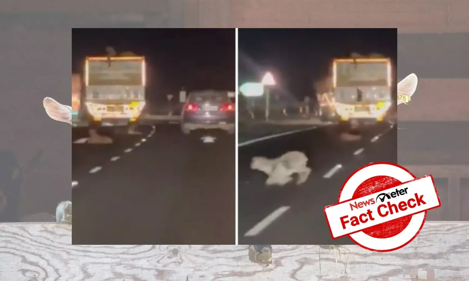 Viral video of man throwing goats out of moving truck is not from Pakistan