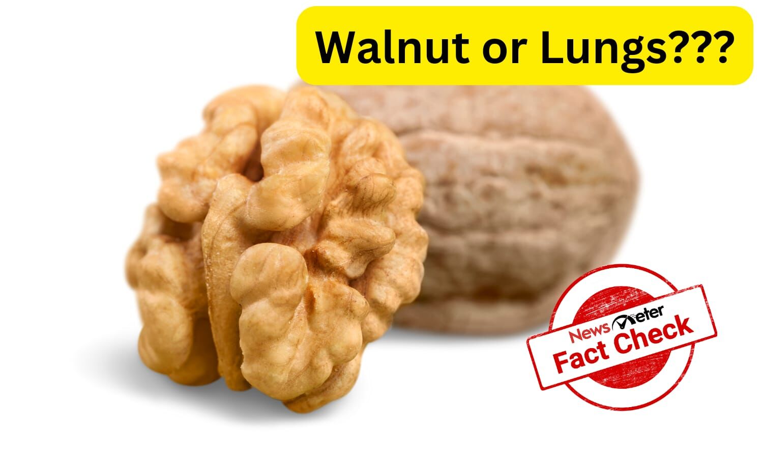 Image of walnut passed off as damaged lungs of a marijuana user