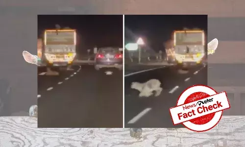 Viral video of man throwing goats out of moving truck is not from Pakistan