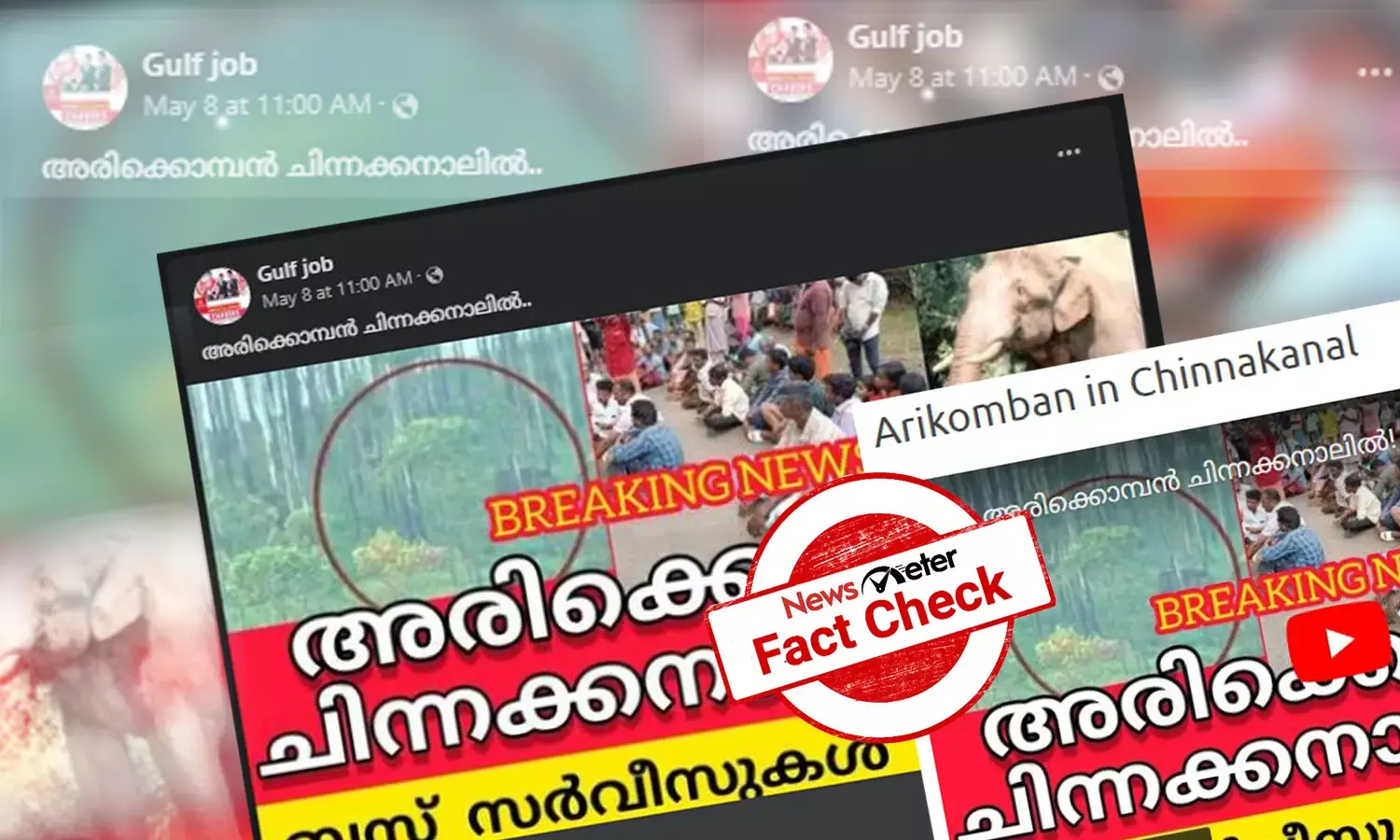 ‘അരിക്കൊമ്പന്‍ ചിന്നക്കനാലില്‍’ -  വ്യാജ തലക്കെട്ടുമായി ഓണ്‍ലൈന്‍ പേജുകള്‍