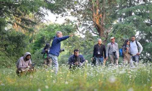 Wildlife photographers attend workshop at Abbott Mount in Uttarakhand.
