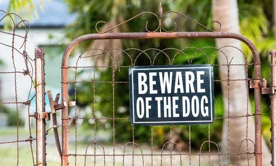 Dog warning features to signboards: How people can prevent canine attacks on delivery agents