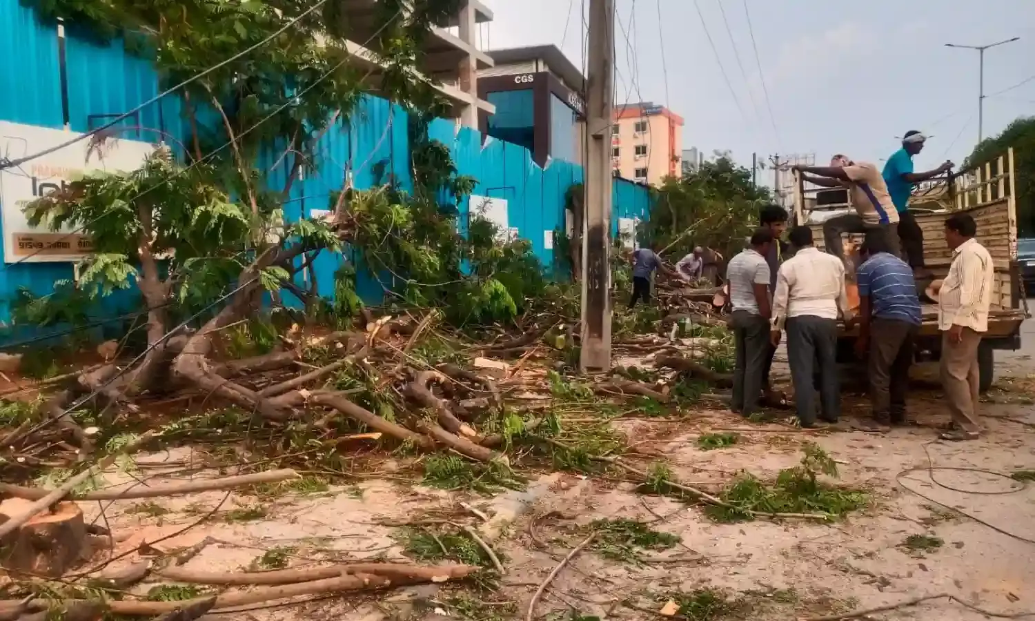 GHMC official suspended over illegal felling of 78 trees in Hyderabad