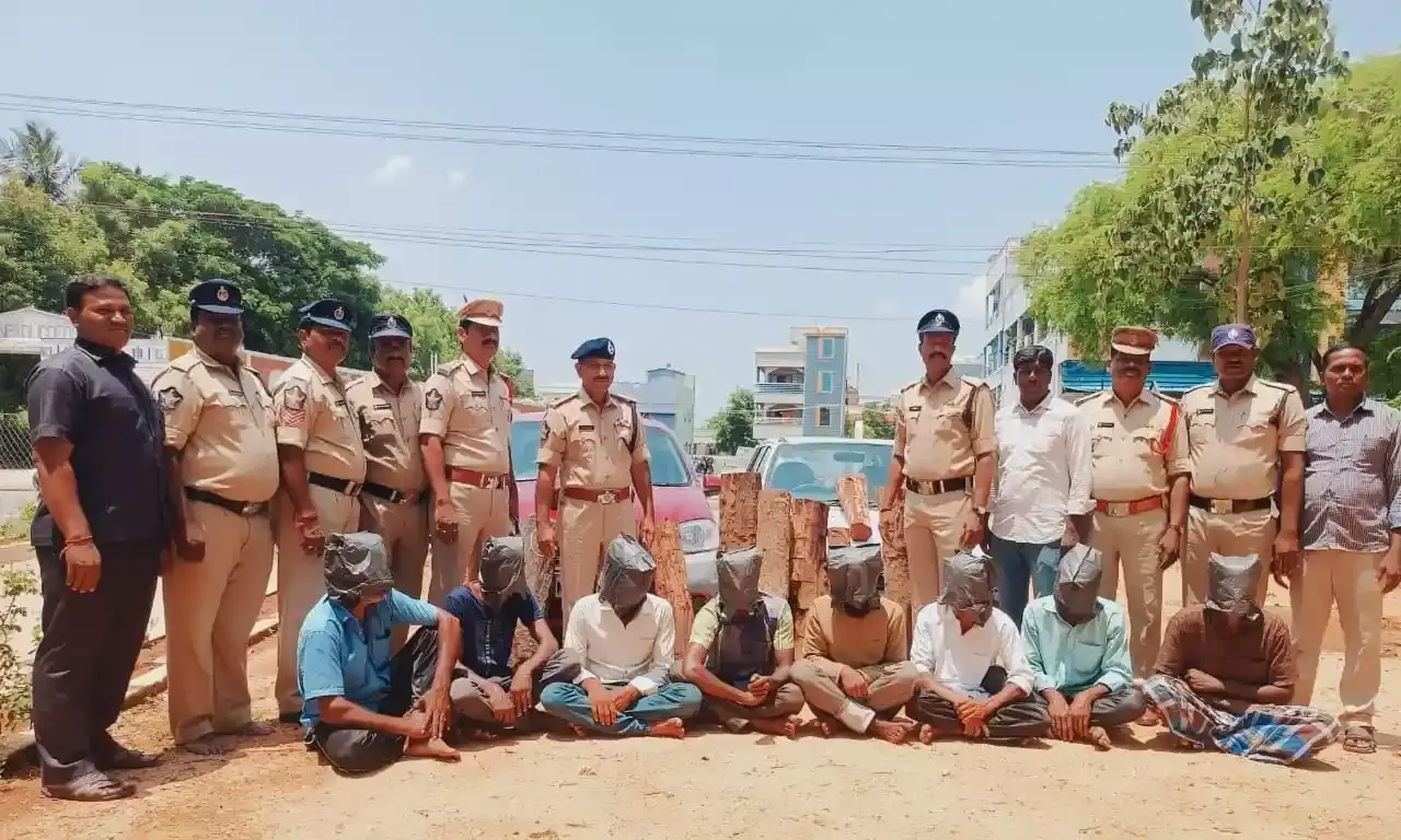 16 red sanders logs worth ₹30 lakhs seized in Chittoor, 8 held