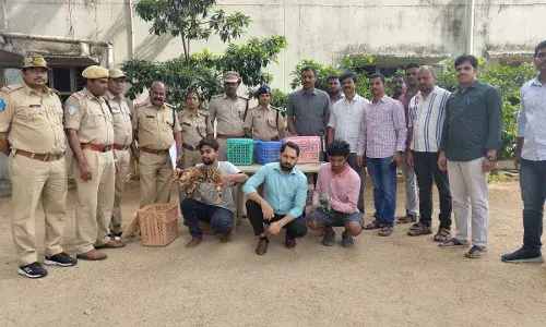 Hyderabad:  Xora Pub organizes Wild Night, parades animals; 7 held