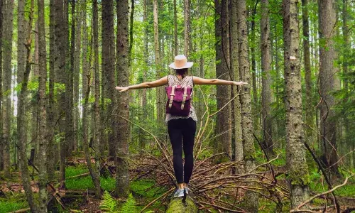 forest bathing nature walk