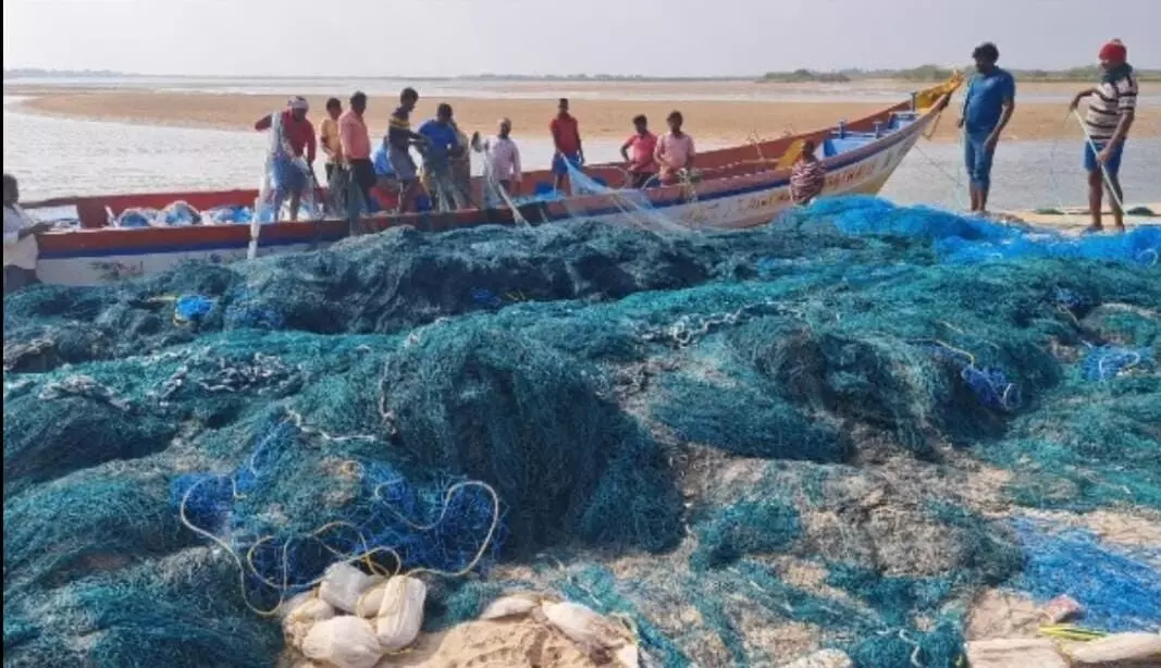 Fishermen got Rs 40 lakh in 3 years for releasing marine life from net