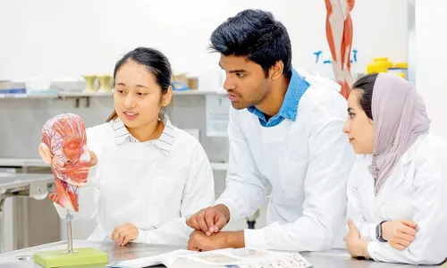 Students pursuing MBBS need to complete course within 9 years from date of admission: NMC regulations.