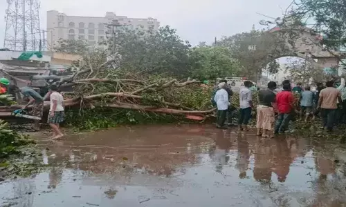 Gujarat: Trauma as Cyclone Biparjoy leaves a trail of destruction in Kutch