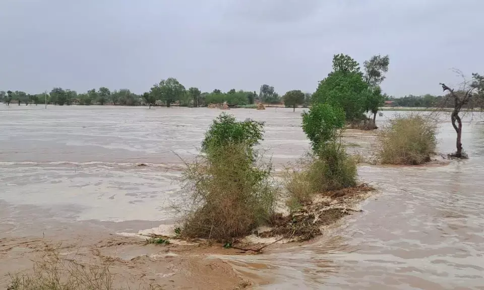 Rajasthan: Cyclone Biparjoy leads to floods, no loss of life.