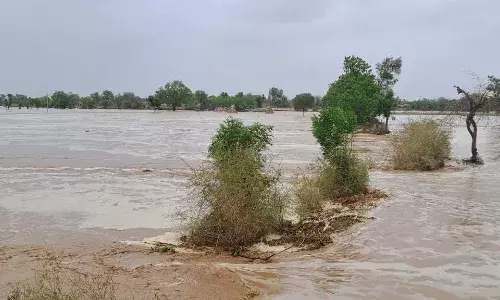 Rajasthan: Cyclone Biparjoy leads to floods, no loss of life.