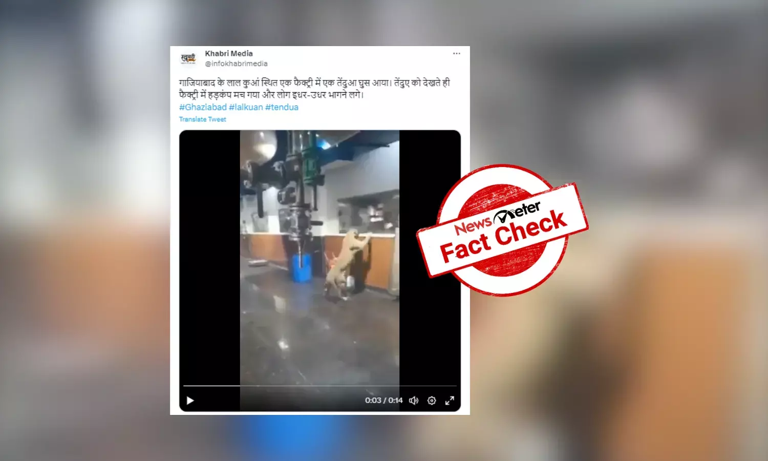 Fact Check: Video of leopard roaming in factory is from Telangana, not Uttar Pradesh