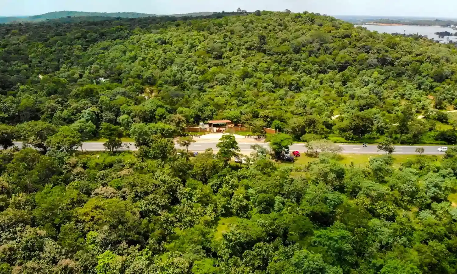 Telangana Goes Green: HMDA plants 1.9 lakh saplings, 126 trees in a day for Haritha Haram