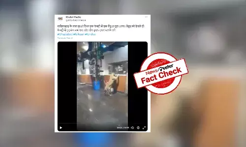 Fact Check: Video of leopard roaming in factory is from Telangana, not Uttar Pradesh